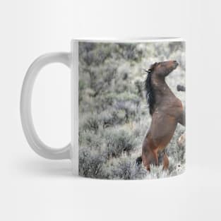 Wild Stallions Fighting Mug